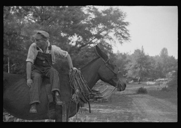 Photos: The Great Depression