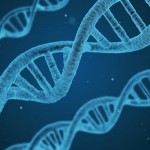 15 Interesting Facts About DNA