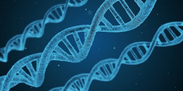 15 Interesting Facts About DNA