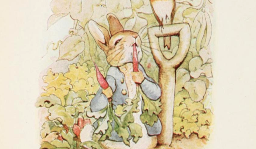 Profile of the Day: Beatrix Potter